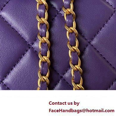 Chanel Lambskin  &  Gold-Tone Metal Baguette Bag AS4611 purple 2024